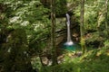 Picturesque waterfall hidden deep in the forest Royalty Free Stock Photo