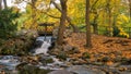 Picturesque waterfall in the Oliwa Park in autumnal scenery.