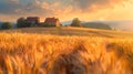 Sunset over wheat field with house, clouds, and natural landscape Royalty Free Stock Photo