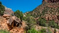 Picturesque wild desert nature of the southwest in Zion National Park, Utah, USA Royalty Free Stock Photo