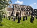 Picturesque Wiltshire, Malmesbury Abbey