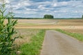 Picturesque winding road flanked by lush farmland and ripe crops