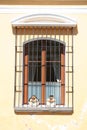 Picturesque window in Antigua Guatemala Royalty Free Stock Photo