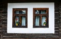 Picturesque windows with flowers