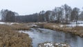 Picturesque winter or late autumn nature landscape with river, trees, dried yellow grass at cloudy frosty day. Royalty Free Stock Photo