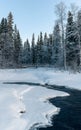 Picturesque winter scene of a stream meandering through a pristine, snowy forest Royalty Free Stock Photo