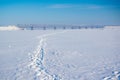 Picturesque winter scenery with road bridge across the Dnieper river near Cherkasy, Ukraine