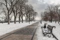 Picturesque winter stroll in the Kyiv city park Royalty Free Stock Photo