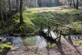 A picturesque wooden bridge across a stream in the middle of a deciduous forest. Crossing a small river Royalty Free Stock Photo