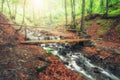 Picturesque wooden bridge across a stream in the middle of a deciduous green summer forest. Crossing a small river. Spring Royalty Free Stock Photo