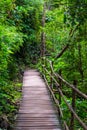 A picturesque wooden path in Thailand