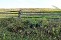 Picturesque wooden rural fence and blue flowers, bells and dry grass beside him. Bellflower.