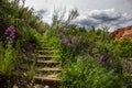 Picturque steps going up in the lash summer vegetation