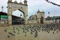 Pidgeons At Hazratbal Shrine, Srinagar, Kashmir, India Royalty Free Stock Photo