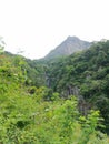 piduruthalagala Reserve Sri Lanka upcountry.