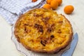 Pie with apricots and almonds Royalty Free Stock Photo