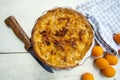 Pie with apricots and almonds Royalty Free Stock Photo