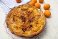 Pie with apricots and almonds Royalty Free Stock Photo