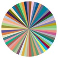 Pie chart, Pie graph, circular, circle diagram from series with 2 to 65 segments, portions. Ratio concept infographic,