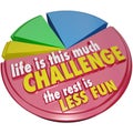 Pie Chart Life This Much Challenge Rest Less Fun