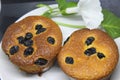 Pie with chocolate chip on a white plate. Sponge cake with black background. Royalty Free Stock Photo