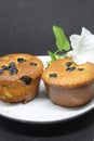 Pie with chocolate chip on a white plate. Sponge cake with black background. Royalty Free Stock Photo