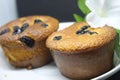 Pie with chocolate chip on a white plate. Sponge cake with black background. Royalty Free Stock Photo