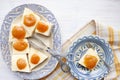 Pie with cottage cheese and apricots. Royalty Free Stock Photo