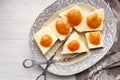 Pie with cottage cheese and apricots. Royalty Free Stock Photo