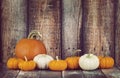 Pie pumpkin and mini pumpkins in a row Royalty Free Stock Photo