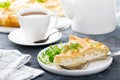 Pie with salted soft cheese and greens Royalty Free Stock Photo