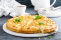 Pie with salted soft cheese and greens Royalty Free Stock Photo