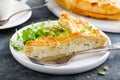 Pie with salted soft cheese and greens Royalty Free Stock Photo