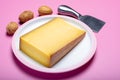 Piece of aged Comte or Gruyere de Comte, AOC French cheese made from unpasteurized cow's milk in the Franche-Comte region of