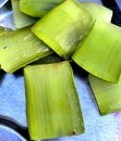 piece of an aloe vera leaf.Â The clear, slimy substance visible is the gel found inside the leaf.Â  Royalty Free Stock Photo