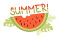 Piece appetizing watermelon and word summer with watermelon pattern. Vector illustration in flat style for design, decor