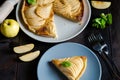 Piece of apple French pie on blue plate looks appetizing and surprisingly fresh. Thin slices of juicy apples and crispy puff Royalty Free Stock Photo