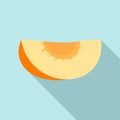 Piece of apricot icon, flat style