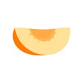 Piece of apricot icon, flat style