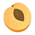 Piece of apricot vector icon.Cartoon vector icon isolated on white background piece of apricot.