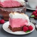 Piece of baked Alaska with chocolate sponge cake, raspberry ice cream and meringues, on a white plate, square format