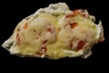 Piece baked chicken fillet with tomatoes and cheese
