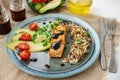 A piece of baked red fish with a side dish of sprouts and avocado salad. Macrobiotic food concept. Healthy food Royalty Free Stock Photo