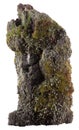 Piece of bark covered with moss and lichen