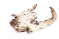 Piece of birch bark isolate on a white Royalty Free Stock Photo