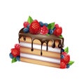 piece of biscuit cake with chocolate glaze and fruits