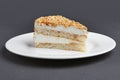 Piece of biscuit cake with souffle on a plate Royalty Free Stock Photo
