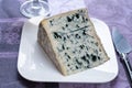 Piece of Bleu de Laqueuille semi-hard AOP French blue cheese made from raw cow milk