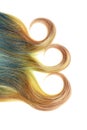 Piece of blond and blue umbra hair with three curls isolated