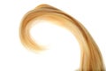 Piece of blond hair in a curl isolated